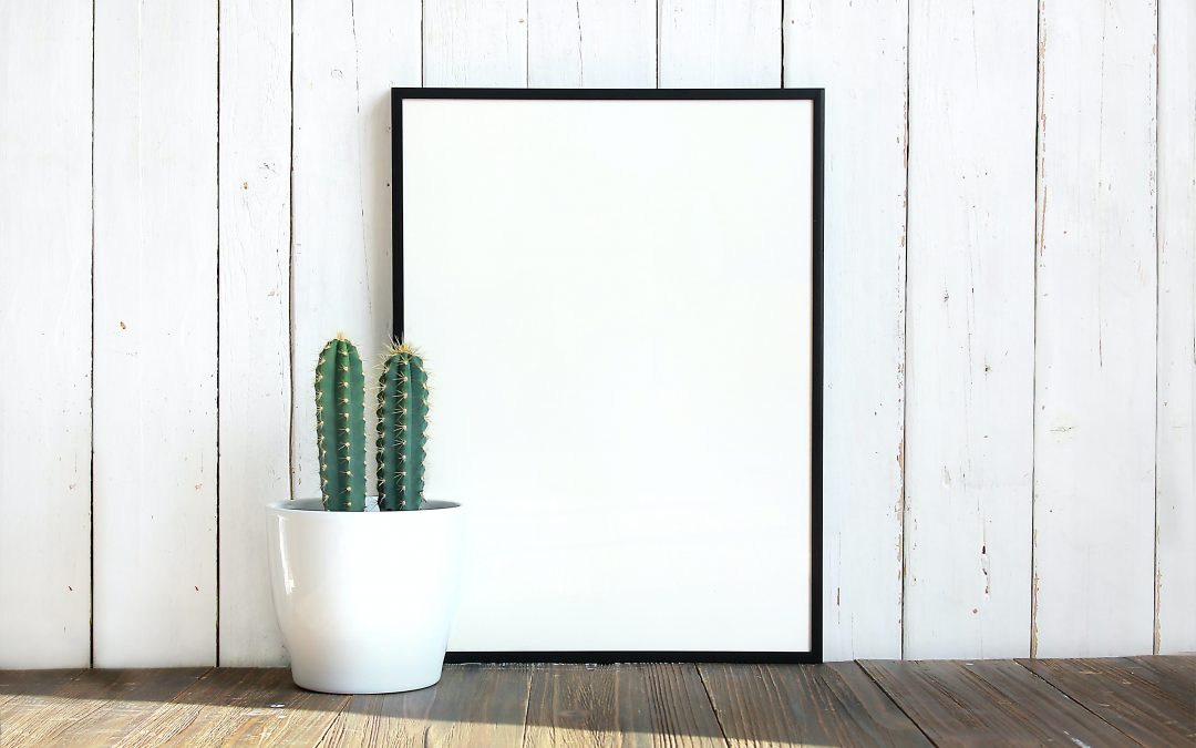 Blank, white canvas with cactus plant arranged aesthetically to the side