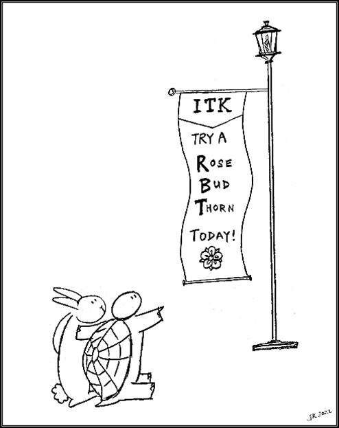 A line sketch of a rabbit and turtle pointing at a sign labeled Try A Rose Bud Thorn Today